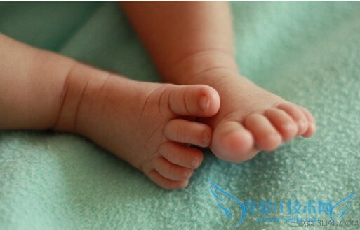 ѡЬֹӰֽ      52IJĸӤ