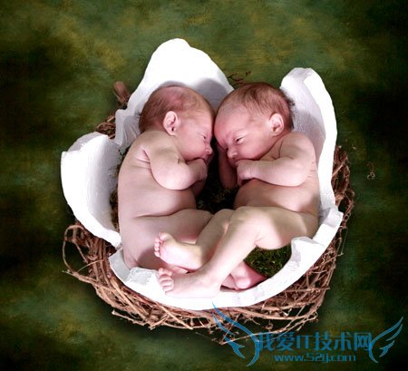 新生宝宝“青春痘”别乱动 三联