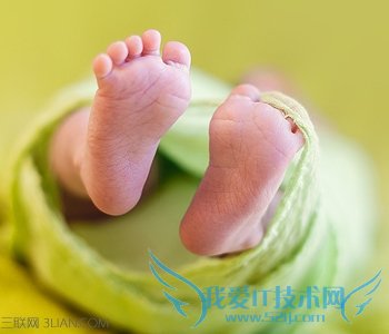 ���Ԥ������������    52IJĸӤ����