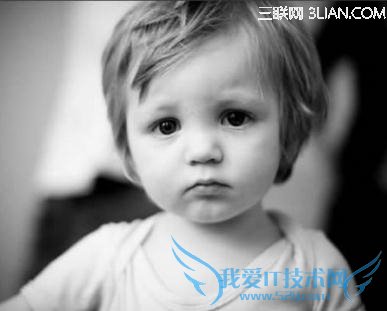 ������Ż�µ�ԭ�������                          52IJĸӤ����