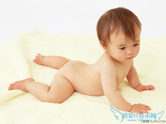 ���������Ӹ�ʳ��ѡ��or�׺��� ����