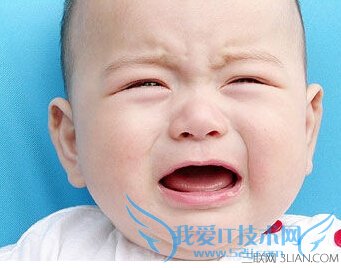 ʪô죿Ԥʪķ    52IJĸӤ