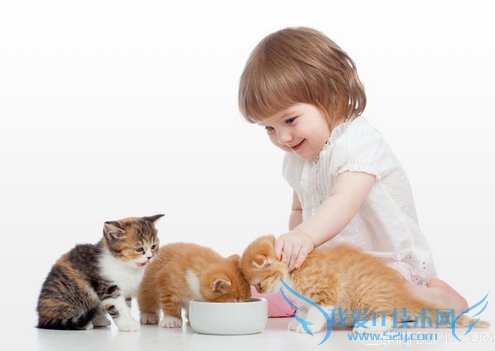 ιȫ            52IJĸӤ