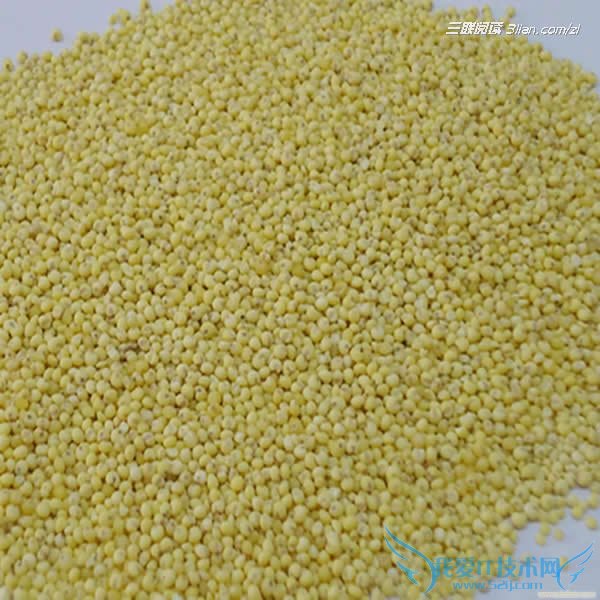 宝宝白露吃什么 52IJ母婴教育阅读