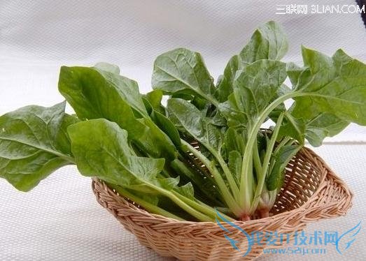 ��ͯ���˶�Եĵ�5���к�ʳ��         52IJĸӤ����