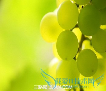 宝宝能吃葡萄吗 52IJ母婴教育