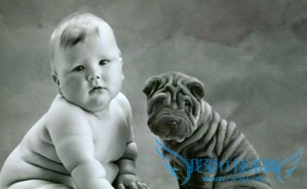 适量摄入脂肪可防孩子发胖