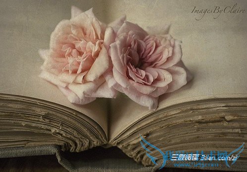 【管教孩子五大心法】孩子哭闹也不失控 52IJ母婴教育阅读