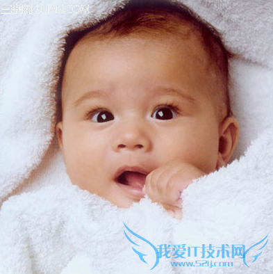 宝宝补脑食谱 让宝宝边吃边聪明 52IJ母婴教育