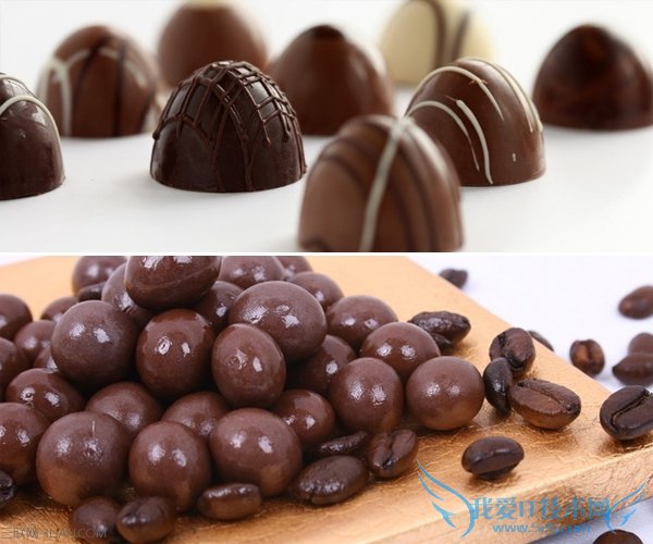 ЩʳСӲܳ      52IJĸӤ