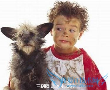 宝宝喜欢小动物干嘛还虐待它 52IJ母婴教育