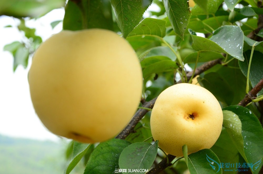 ��������ڲ���ʲô������� 52IJĸӤ����