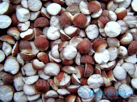 宝宝能吃芡实吗?宝宝怎么吃芡实好? 52IJ母婴教育