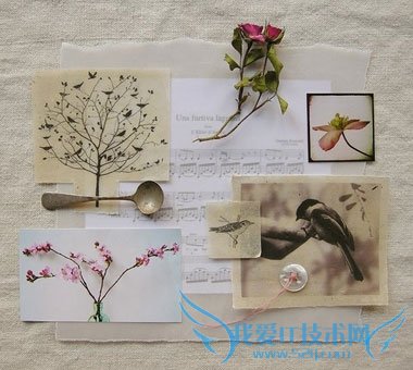 ɴ̼ñ        52IJĸӤ