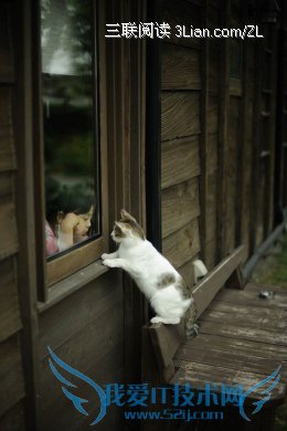 ĺӻ֢     52IJĸӤĶ