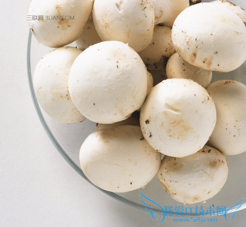 宝宝能吃蘑菇吗 52IJ母婴教育