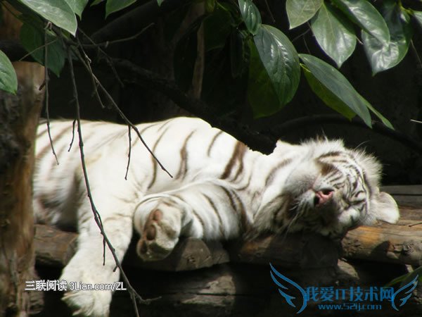 错误睡姿当心小宝宝变丑 三联