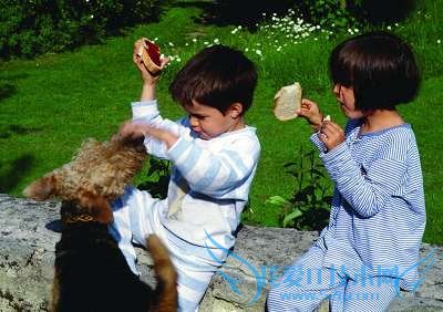 宝宝被宠物伤害的应对办法