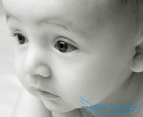 С׵֢״    52IJĸӤ