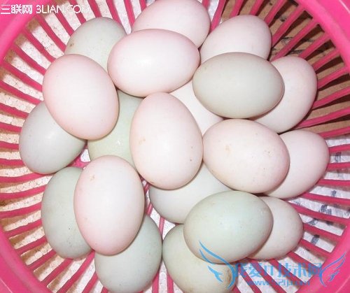 有益孩子补脑健脑的五种营养食物 三联