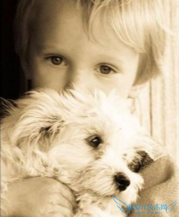 帮孩子认识形式排列的小游戏 52IJ母婴教育