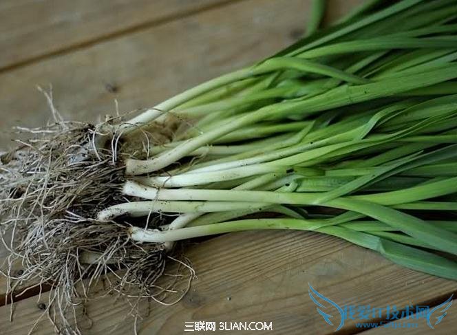 能帮助宝宝眼睛发育的食物 三联