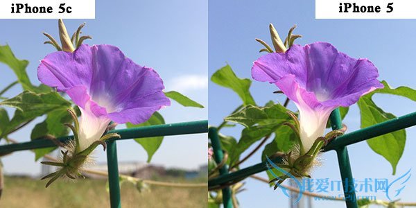 六问苹果iPhone 5c:改变在哪?该不该买?