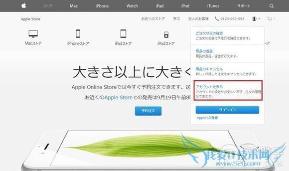 手把手教你亲自海淘日版iPhone6