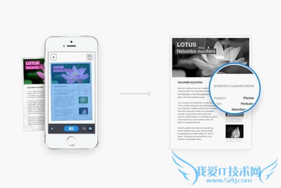 8ʹTouch ID֤iPhoneӦ