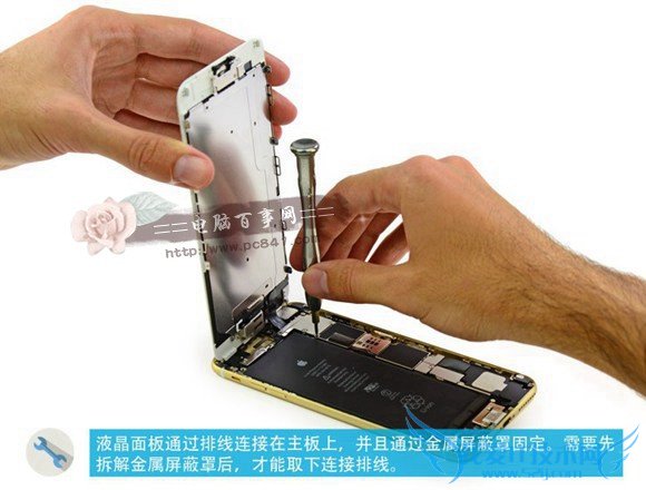 iPhone6怎么换屏 iPhone6/6 Plus换屏幕教程