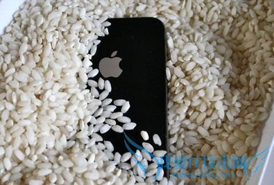 iphone6s掉水里怎么办?iphone6s掉入水中的处理方法