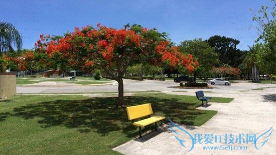 iPhone首款4K视频应用推出 售价999美元