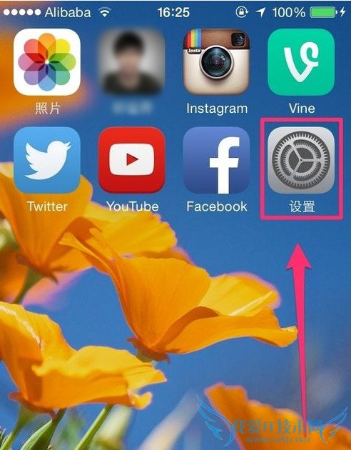 怎么快速知道自己iphone安装了多少应用