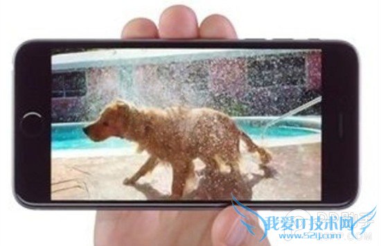 iPhone6ֲ֧4KƵк壿 52IJֻ֮