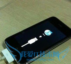 白苹果怎么修复