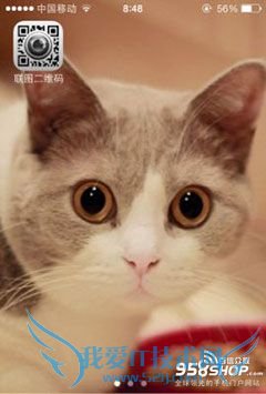 怎样改变苹果手机信号的显示样式