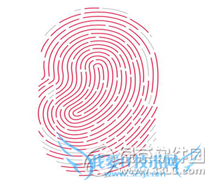 iphone6s touch idʧô 52IJֻ֮