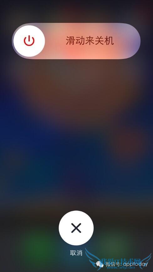 ƻֻ㲻֪Ľͼ 52IJֻ֮