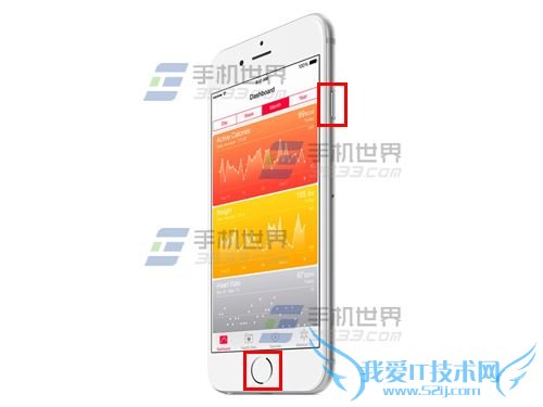 iPhone6Plusô 52IJֻ֮