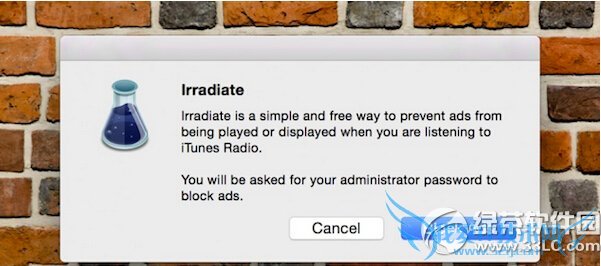 itunes radioôȥ itunes radioȥ2