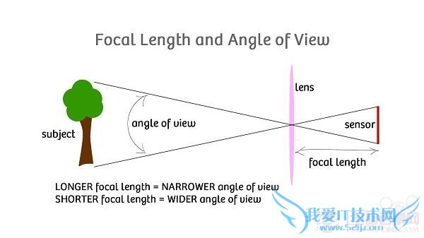 如何通过对焦使iPhone摄像头功能最大化