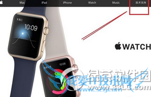 iphone6plus怎么查询激活时间 iphone6plus激活时间查询方法3