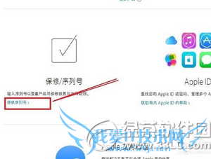 iphone6plus怎么查询激活时间 iphone6plus激活时间查询方法4