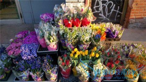 用图说话:iPhone6 Plus和Galaxy S6拍照哪家强? 相机镜头对比 52IJ手机之家