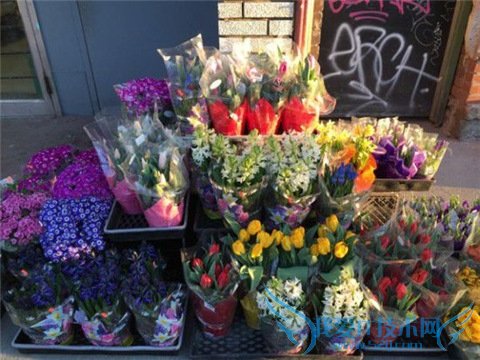 用图说话:iPhone6 Plus和Galaxy S6拍照哪家强?