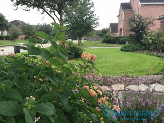 iPhone 6 Plus拍照对比单反:差距悬殊