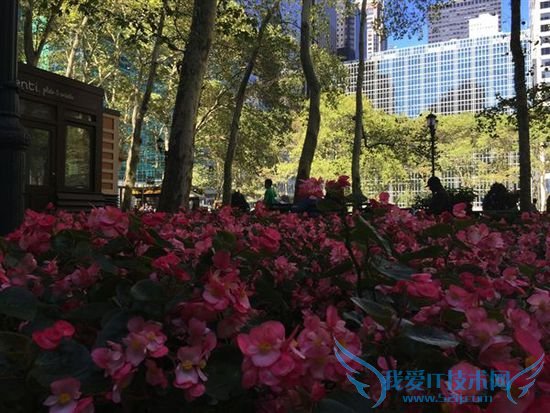 iPhone 6 Plus样张出炉:远不如售价惊艳