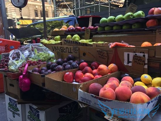 iPhone 6 Plus样张出炉:远不如售价惊艳