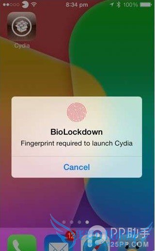 iPhone5sԽBioLockdownôã 52IJֻ֮