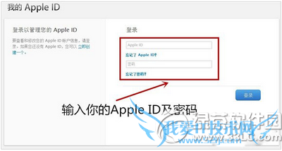 apple idô apple id֤3